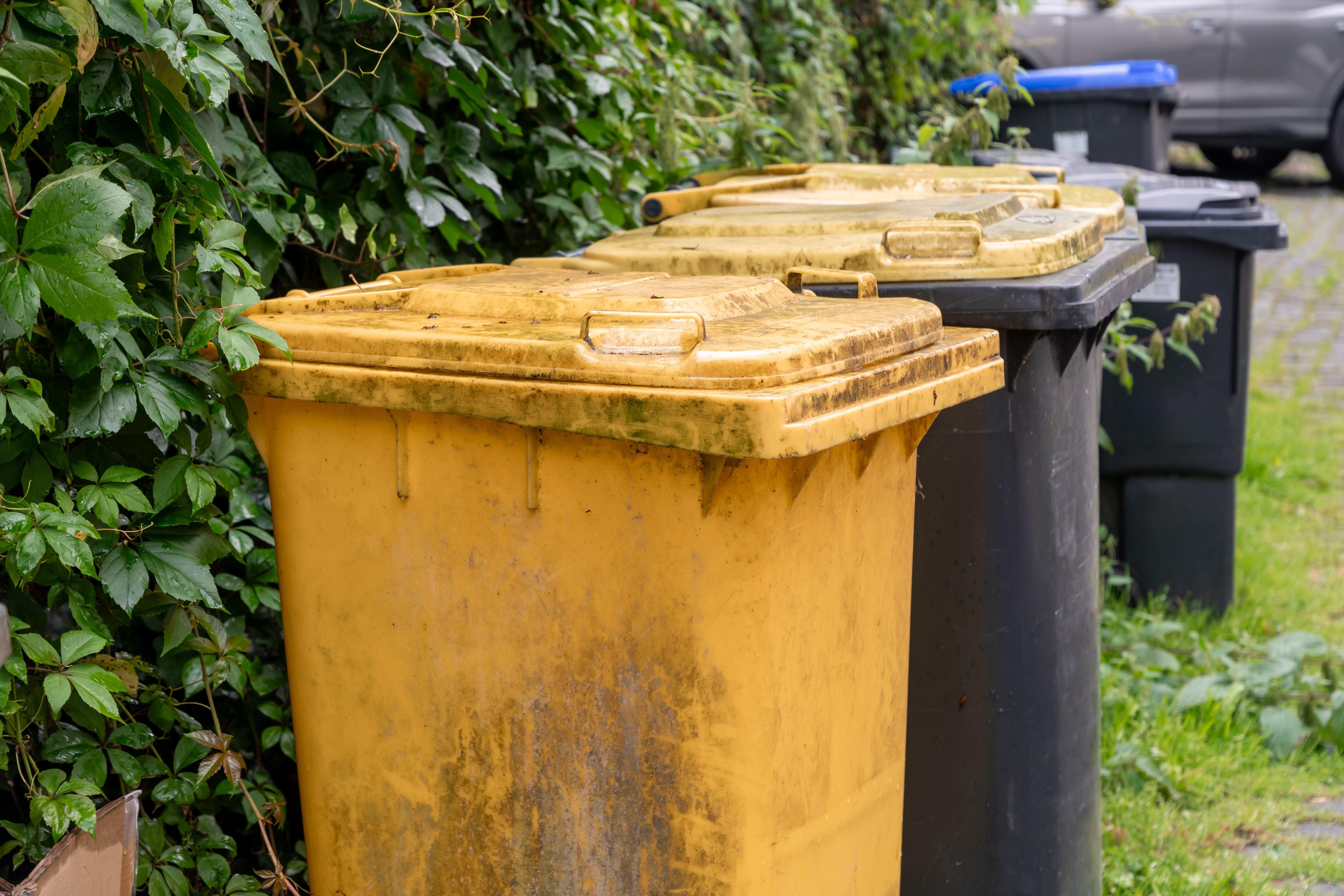 Cubos de basura (Adobe Stock)