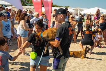 El entrenamiento diario en tierra