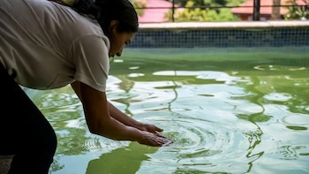 Los establecimientos deberán calcular el
