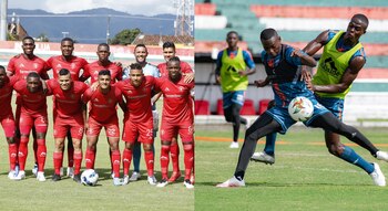 Cortuluá denuncia el hurto de