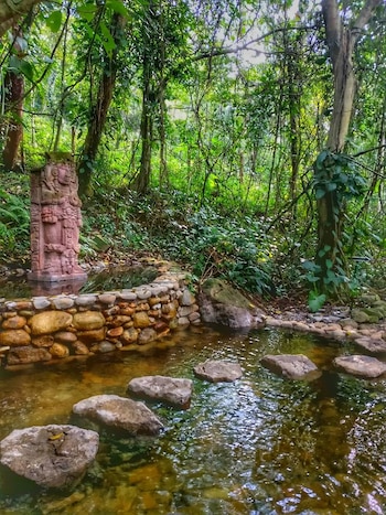 Guías especializados ofrecen recorridos que explican la cosmovisión maya.(Foto: Redes sociales)