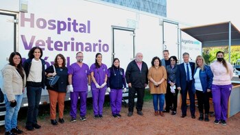 Tenencia responsable y sanidad para