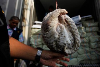 Foto de archivo ilustrativa de