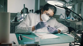 El sistema permite recopilar y