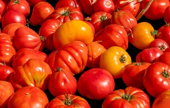 La preparación de la sopa