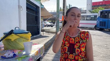 La aspirante a la candidatura