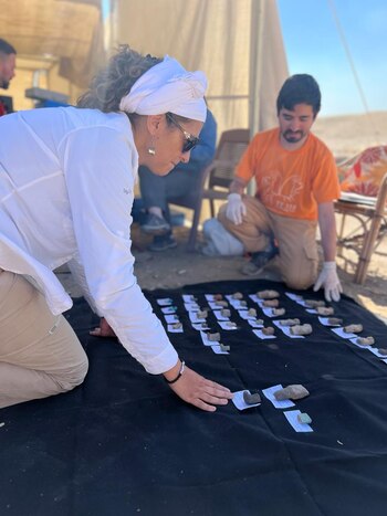 En cada campaña afinan detalles