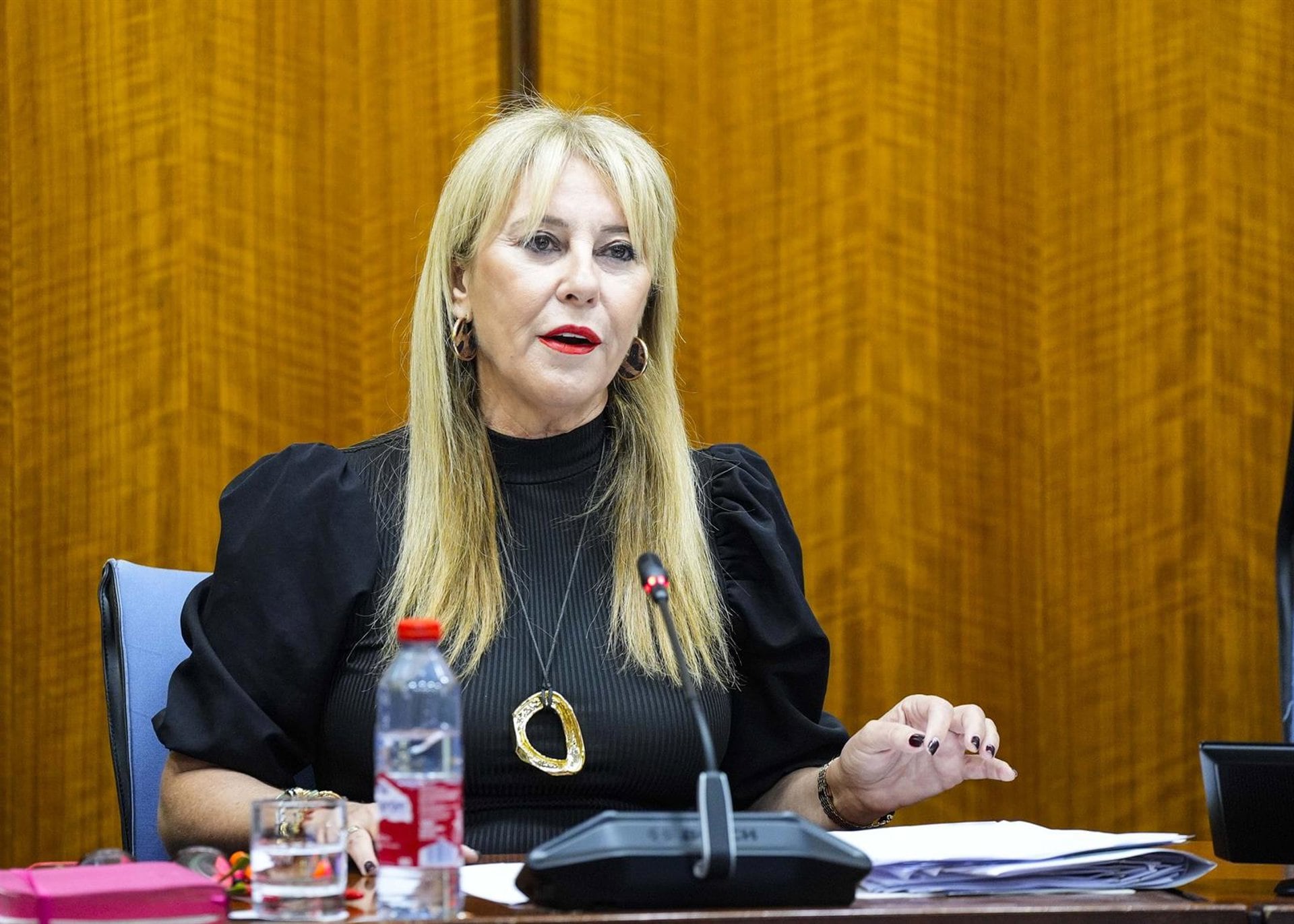 15/10/2026 La vicepresidenta tercera y consejera de Economía, Hacienda y Fondos Europeos, Carolina España, en su intervención en la comisión del Parlamento de Andalucía. (Foto de archivo).POLITICA ESPAÑA EUROPA ANDALUCÍAJOAQUIN CORCHERO / PARLAMENTO DE ANDALUCÍA