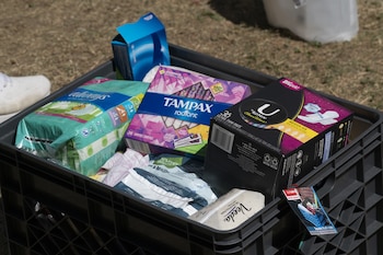 Escocia y Nueva Zelanda están