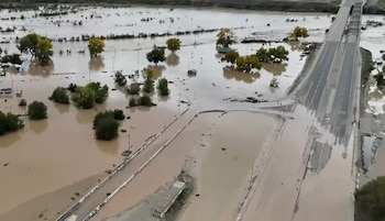 Vista aérea de una zona inundada con agua turbia que cubre árboles y accesos a un puente vehicular pavimentado