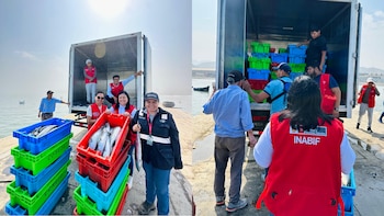 Gobierno entrega pescado fresco a Inabif para fortalecer alimentación de población vulnerable. (Foto: MIMP)