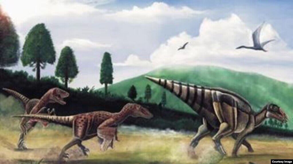 El hallazgo de un tumor en Telmatosaurus transsylvanicus sugiere que el cáncer no es una enfermedad moderna sino un fenómeno recurrente en especies extintas. (MDPI)