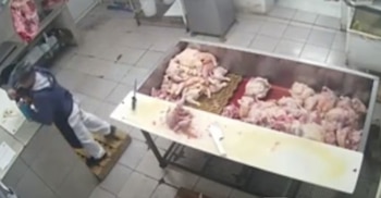 Una mujer en una carnicería se inclina sobre un mostrador con un termo, junto a un gran contenedor de metal con pollo crudo en el suelo