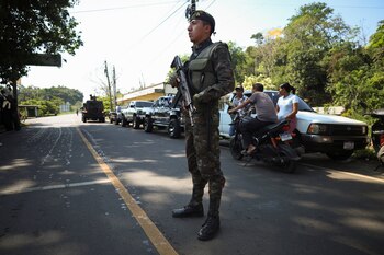 Las fuerzas de seguridad de