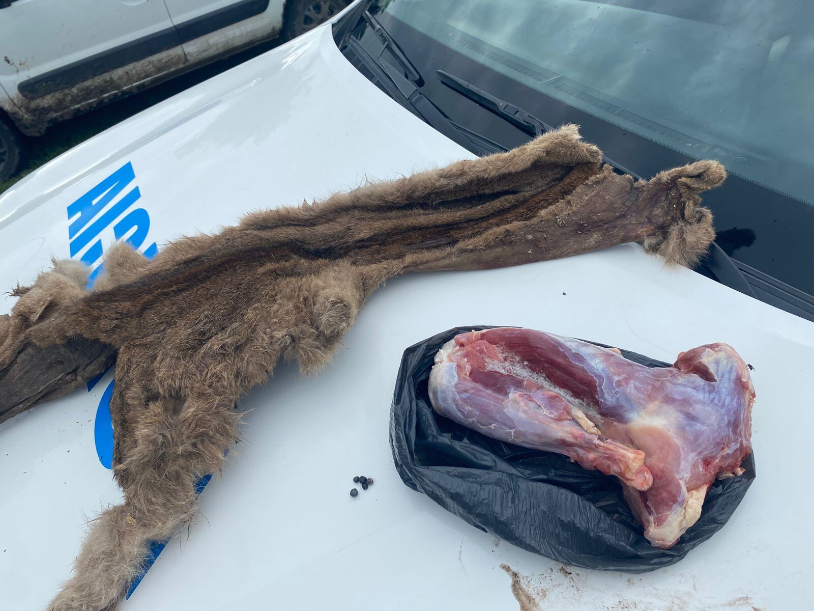 El operativo se realizó en el lote 45 de la localidad chaqueña de Bajo Hondo Chico