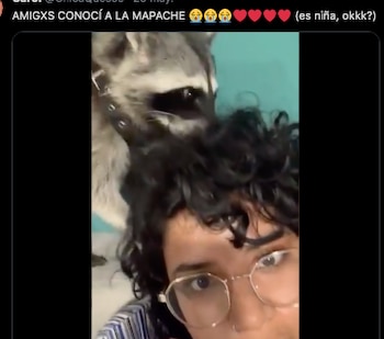 la joven que capturó el