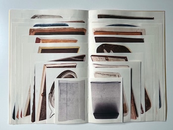 El catálogo curado de Goma