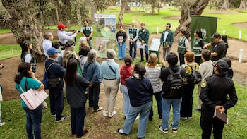 San Isidro presenta la Ruta de los Árboles Patrimoniales con ejemplares de hasta 388 años