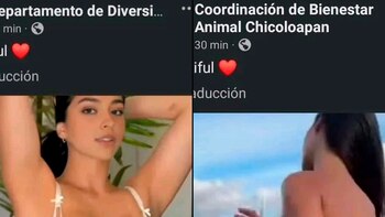 Hackean redes sociales del Ayuntamiento