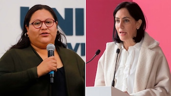 Morena solicitó la suspensión de