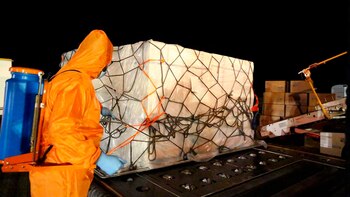 La llegada de las vacunas