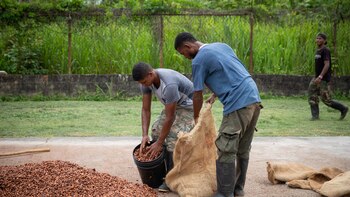 Los agricultores de Venezuela claman