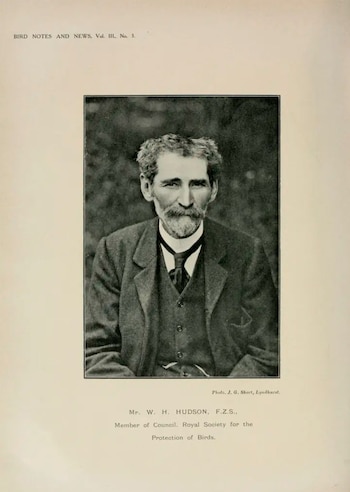 “No hemos estado exentos de