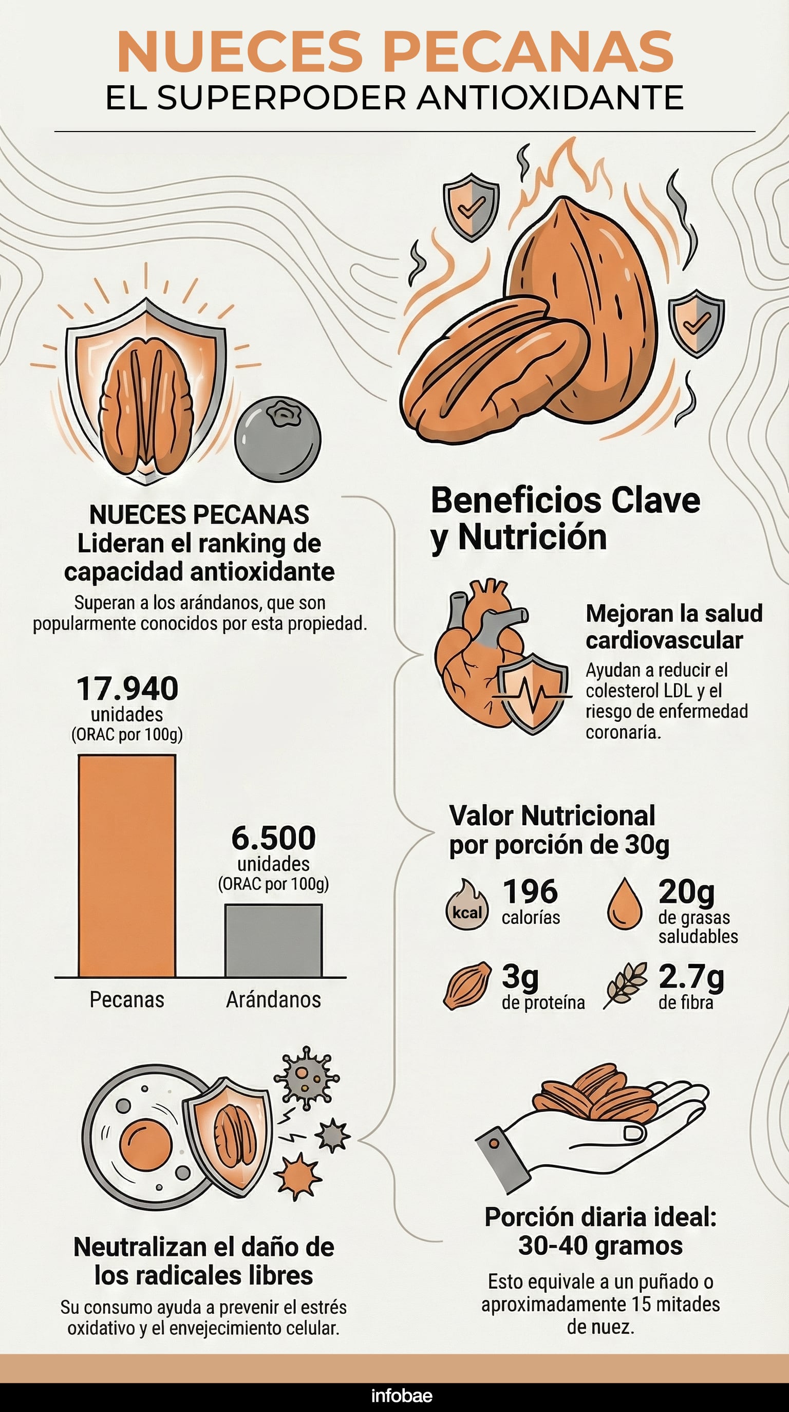 La nuez pecán es reconocida por su alto valor nutricional, aportando antioxidantes, grasas saludables, vitamina E, complejo B, zinc, manganeso y fibra (InfografíaIA)