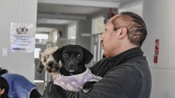 La entidades ediles promueven esta