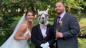 La historia detrás de una llama vestida de esmoquin que asistió a una boda en Nueva York (Facebook Llama Adventures)