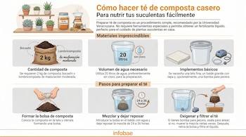 Infografía detallada que muestra los ingredientes y procedimientos para hacer té de composta orgánico y casero, un abono propuesto por la Universidad Veracruzana. (Imagen Ilustrativa Infobae)