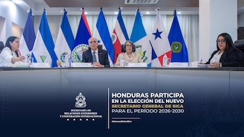 La elección se realizó durante una sesión virtual de los países miembros. (FOTO: Cancillería Honduras)
