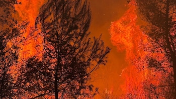 Incendio forestal declarado en la localidad castellonense de la Vall d'Uixó (Consorcio Bomberos Castellón)