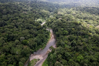 Fotografía que muestra el río Mangle durante un sobrevuelo en la selva del Tapón del Darién este 14 de agosto de 2026, línea fronteriza entre Panamá y Colombia, Tapón del Darién (Panamá). EFE/ Bienvenido Velasco