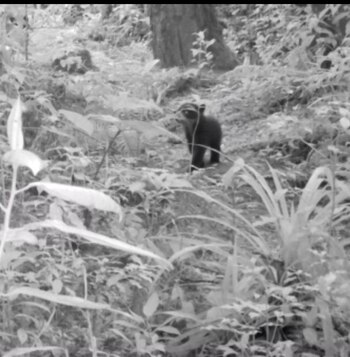 Izumi fue visto por primera