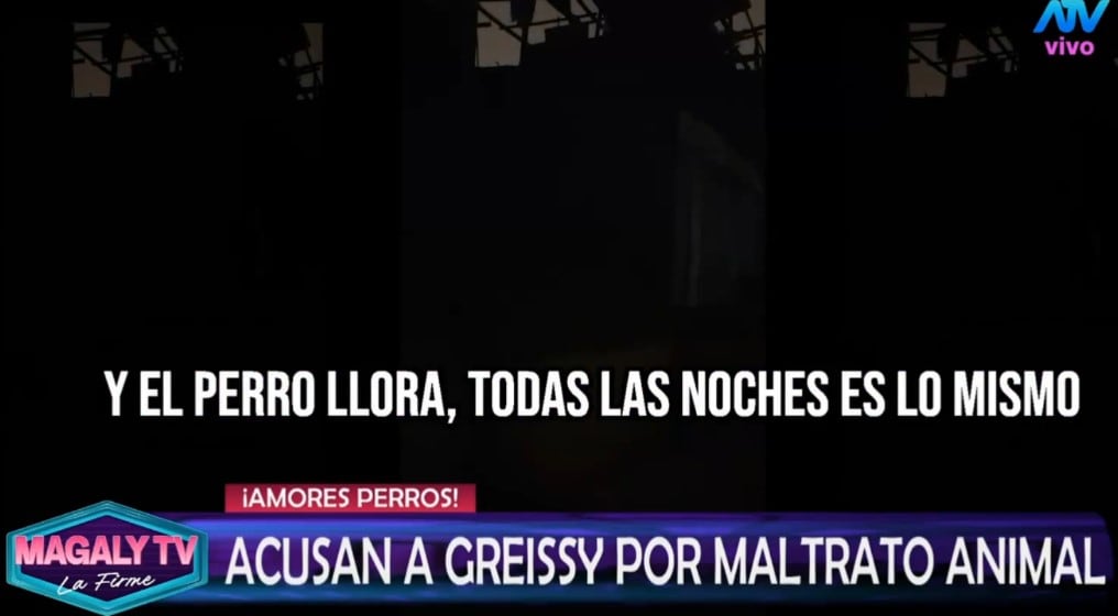 Greissy Ortega enfrenta acusaciones de presunto maltrato animal: vecinos difunden videos y audios. Captura: Magaly TV La Firme.
