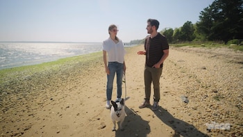 Una mujer, un hombre y un perro caminan por una playa de arena y guijarros junto al mar, con árboles al fondo y cielo despejado