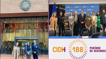 Asociaciones no gubernamentales pidieron a