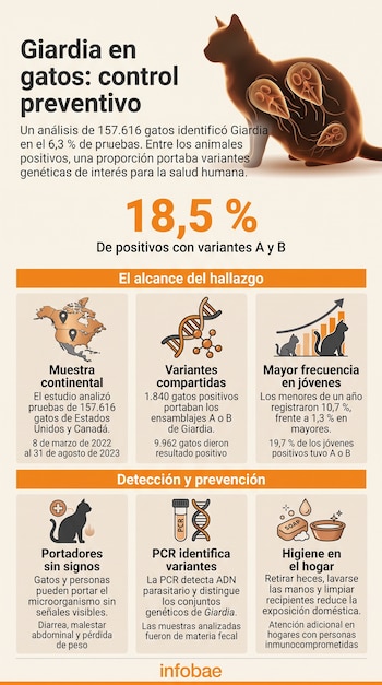 Infografía con gráficos de la silueta de un gato, un mapa de Norteamérica, una molécula de ADN y elementos de higiene doméstica.