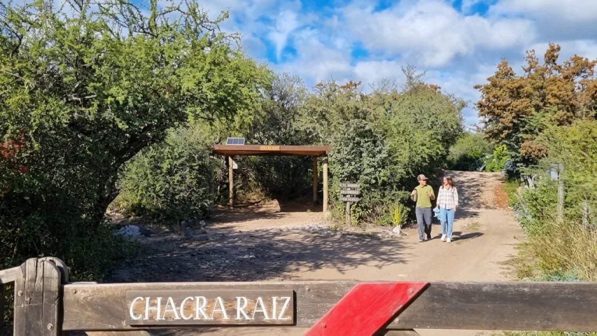 El emprendimiento Chakra Raíz surgió tras las vivencias del viaje de Luz y Santiago (Captura de video de