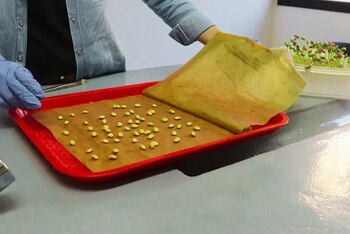 La prueba de emergencia de