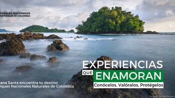 Algunas recomendaciones para disfrutar de