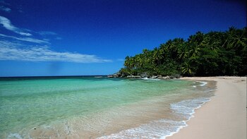 Die neue Flugstrecke zwischen Medellín