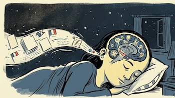¿Se puede aprender al dormir? Cuáles son los límites y riesgos de realizarlo durante el sueño