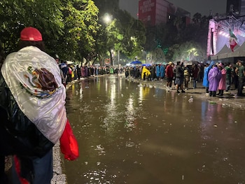 En la Ciudad de México, el PET se paga entre 4 y 7 pesos por kilo, el cartón entre 1 y 2 pesos, y el aluminio entre 18 y 30 pesos por kilo. (Luz Coello | Infobae México)