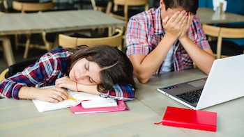 Según la Ocde la desigualdad