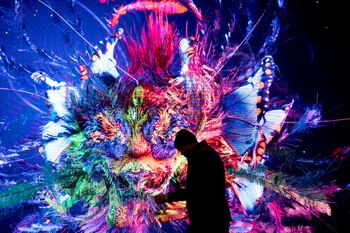 Un hombre pasa ante una