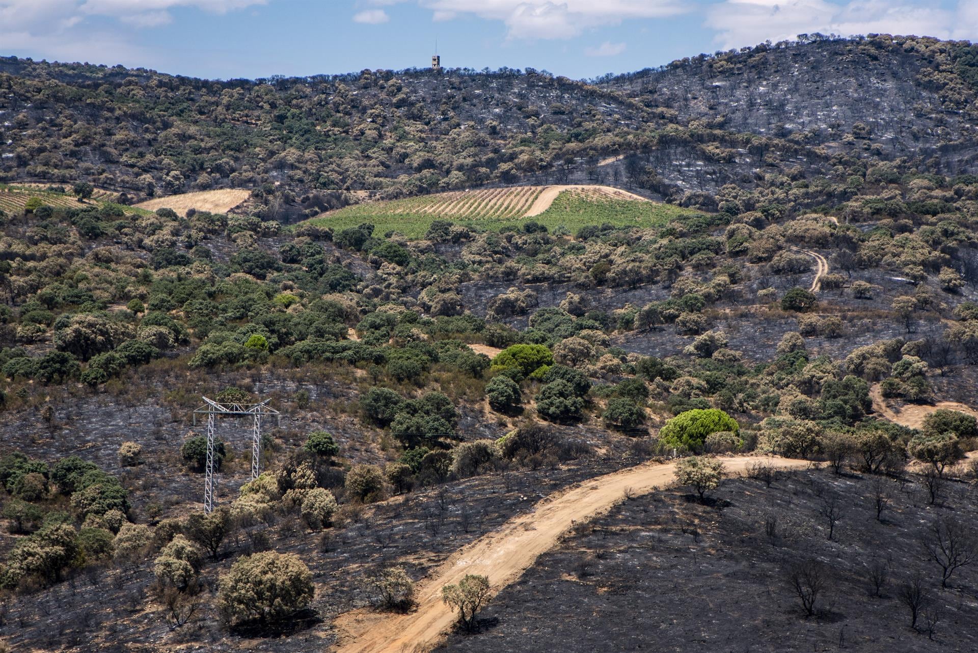 Los ingenieros agrónomos ofrecen su colaboración para evaluar los daños por los incendios y acelerar la recuperación
