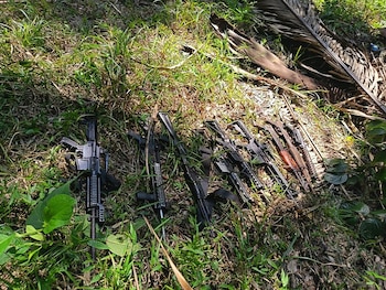 Varias armas de fuego de estilo militar, incluyendo rifles, yacen sobre un suelo cubierto de hierba y hojas secas bajo la luz del sol