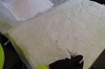 Pedro Sánchez celebró la destrucción